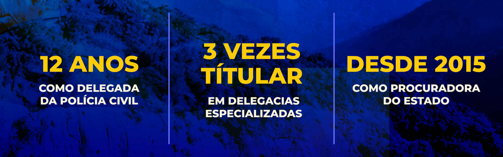12 anos como delegada da Polícia Civil · 3 vezes titular em delegacias especializadas · Desde 2015 Procuradora do Estado